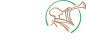 Centre for Communication and Social Impact